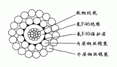 FL-WGSF46-5.60mm氟塑料F46绝缘F40护套双钢丝铠装承荷探测电缆