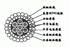 FL-W7F46PP-11.80mm分相屏蔽及总屏蔽双钢丝铠装承荷探测电缆