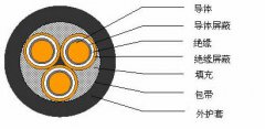 3*2.5，3*3，3*4，3*6，3*10，3*16，3*25屏蔽电缆结构图