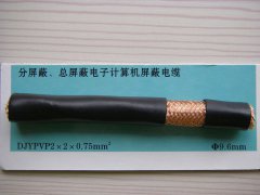 DJYPVP 2*2*0.75 分屏蔽、总屏蔽电子计算机屏蔽电缆